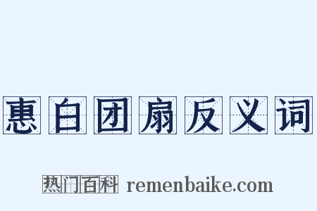 惠白团扇反义词是什么意思的图片